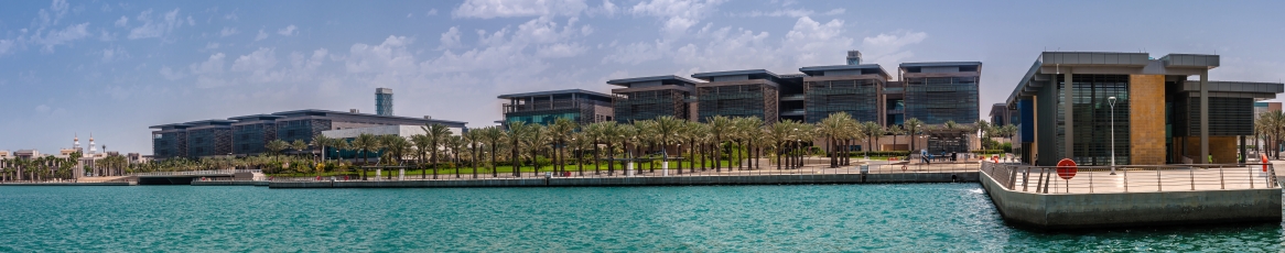 kaust campus picture